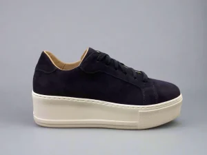 Donnalei Donna Lei 'Sibley' Navy Suede Trainer>Women Trainers