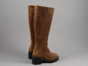 Donnalei Donna Lei 'Stars' Long Boot>Women Boots | Heels