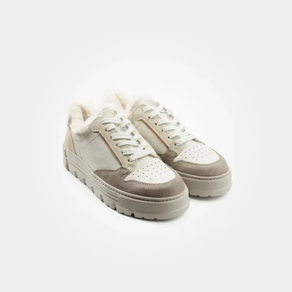 Paul Green 'Sven' Trainer>Women Trainers