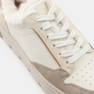 Paul Green 'Sven' Trainer>Women Trainers